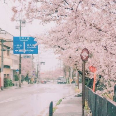 两条加强免疫路线并行，专家称已接种加强针人群不用进行序贯免疫