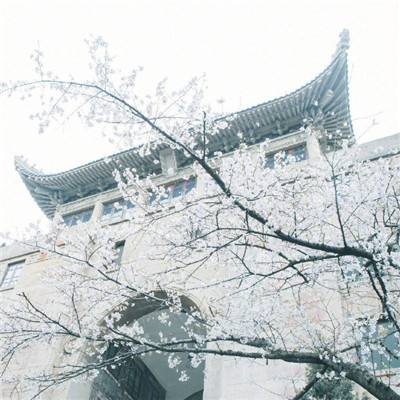 习近平给中国传媒大学全体师生回信..