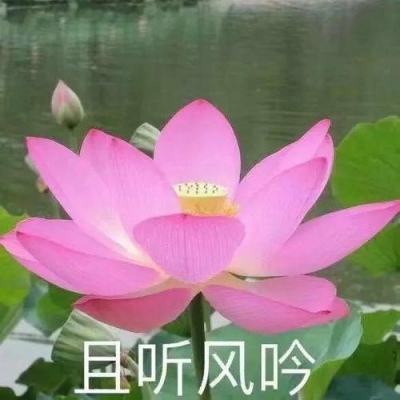 披荆斩棘4四公舞台